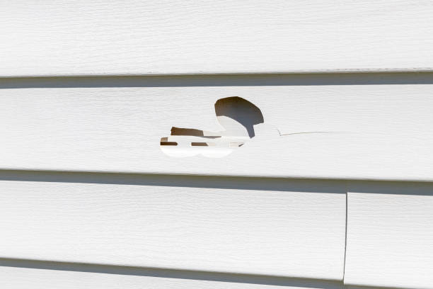 Storm Damage Siding Repair in Mcmillin, WA